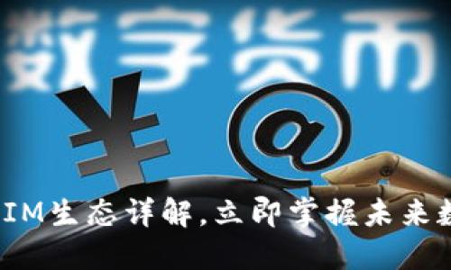 2025必看：TokenIM生态详解，立即掌握未来数字资产管理趋势