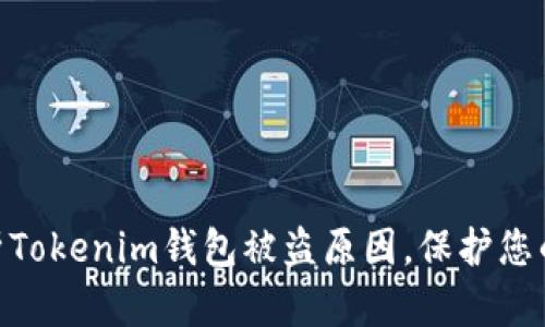 2025必看：解析Tokenim钱包被盗原因，保护您的数字资产安全