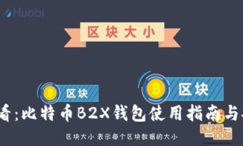 2025必看：比特币B2X钱包使用指南与安全策略