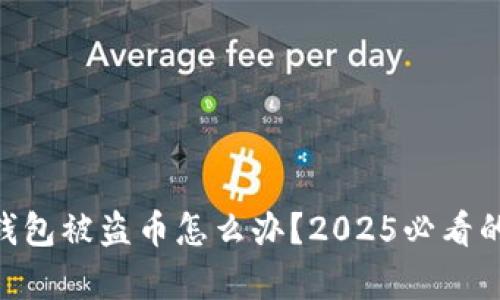 Tokenim钱包被盗币怎么办？2025必看的恢复指南