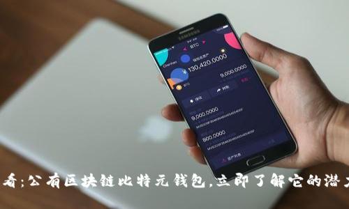 2025必看：公有区块链比特元钱包，立即了解它的潜力与未来