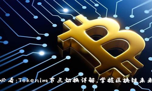 2025必看：Tokenim节点切换详解，掌握区块链未来技术！