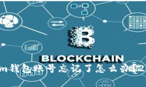 立即找回！Tokenim钱包账号忘记了怎么办？2025必看技巧解析