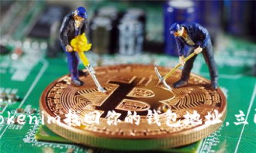 2025必看：如何在Tokenim找回你的钱包地址，立即恢复你的数字资产