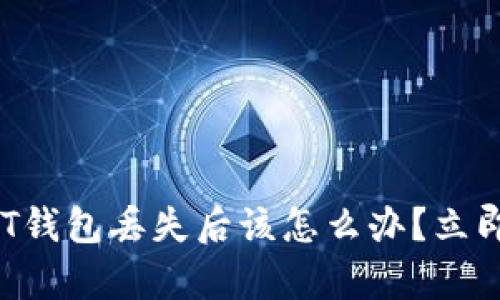 2025必看：USDT钱包丢失后该怎么办？立即学习自救方法！