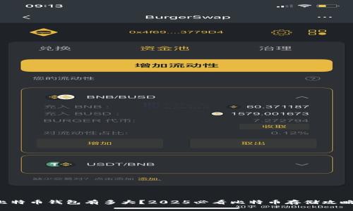 比特币钱包有多大？2025必看比特币存储攻略！