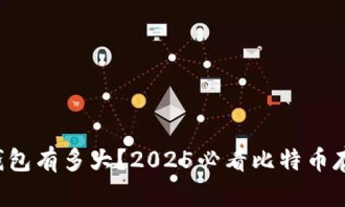 比特币钱包有多大？2025必看比特币存储攻略！