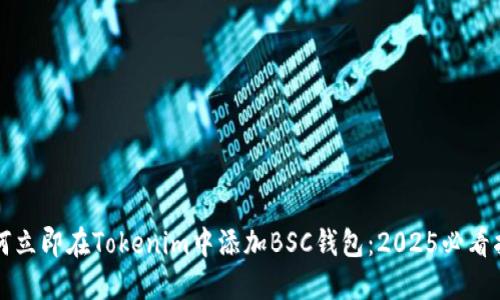 如何立即在Tokenim中添加BSC钱包：2025必看指南