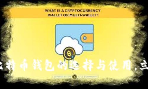 2025必看：全面解析比特币钱包的选择与使用，立即掌握你的数字资产！