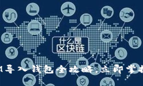 2025必看！TokenIM导入钱包全攻略，立即掌握加密资产管理技巧