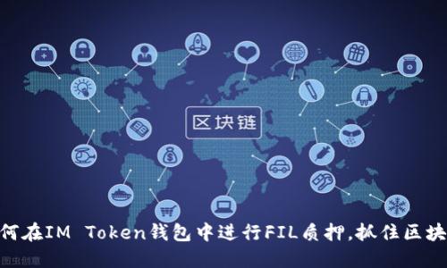 2025必看：如何在IM Token钱包中进行FIL质押，抓住区块链投资的机遇