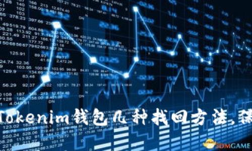 2025必看：立即掌握Tokenim钱包几种找回方法，保障你的数字资产安全