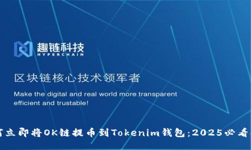 如何立即将OK链提币到Tokenim钱包：2025必看指南