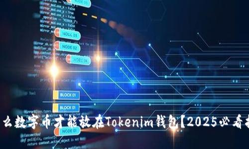 歪什么数字币才能放在Tokenim钱包？2025必看指南！