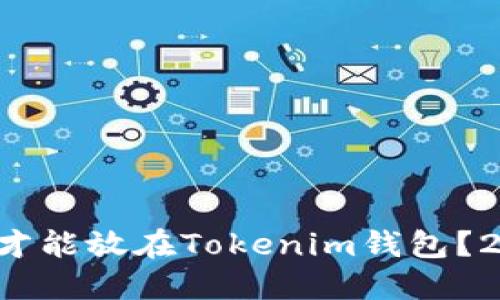 歪什么数字币才能放在Tokenim钱包？2025必看指南！