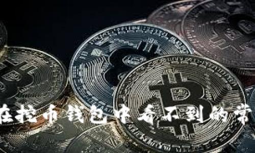 立即解决：以太坊在挖币钱包中看不到的常见原因及解决方案
