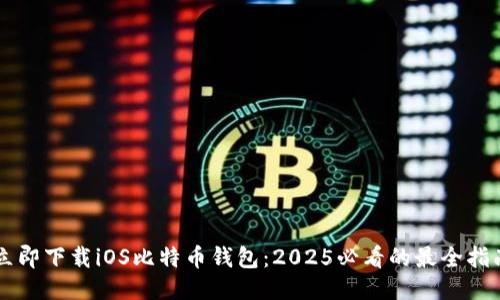 立即下载iOS比特币钱包：2025必看的最全指南