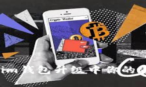 2025必看：Tokentokenim钱包升级中你的资产会丢失吗？立即了解！