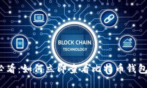 2025必看：如何立即查看比特币钱包的公钥