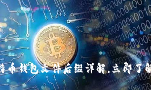 2025必看：比特币钱包文件后缀详解，立即了解你的资产安全