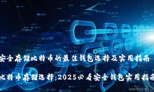 安全存储比特币的最佳钱包选择及实用指南

比特币存储选择：2025必看安全钱包实用指南