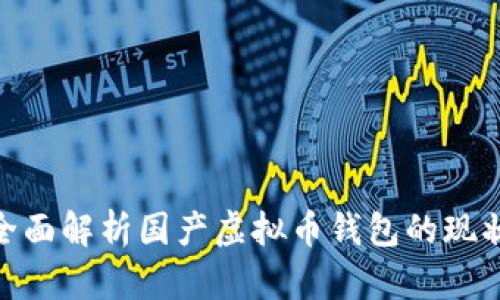 2025必看：全面解析国产虚拟币钱包的现状与未来发展