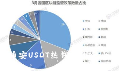 2025必看：深入解析币安USDT热钱包，安全性与实用性的全面指南