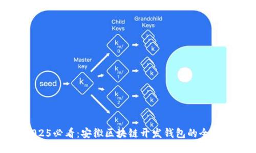 : 2025必看：安徽区块链开发钱包的全面指南