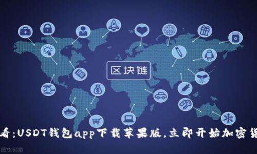 2025必看：USDT钱包app下载苹果版，立即开始加密货币之旅！