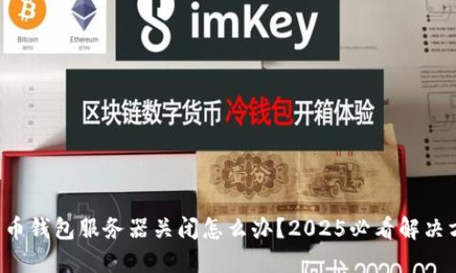 比特币钱包服务器关闭怎么办？2025必看解决方案！