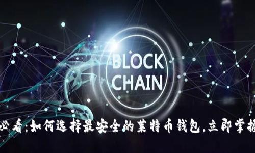 2025必看：如何选择最安全的莱特币钱包，立即掌握技巧！
