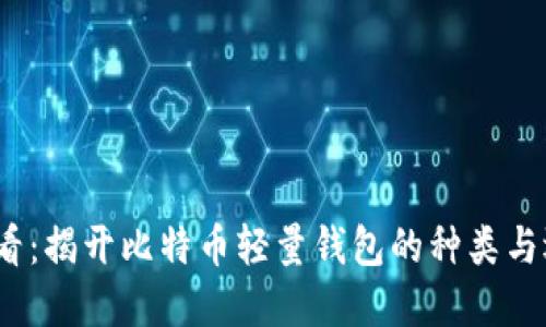 2025必看：揭开比特币轻量钱包的种类与选择技巧