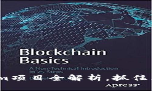2025必看：Tokenim项目全解析，抓住区块链投资新机会！