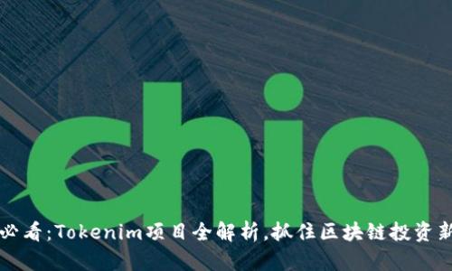 2025必看：Tokenim项目全解析，抓住区块链投资新机会！