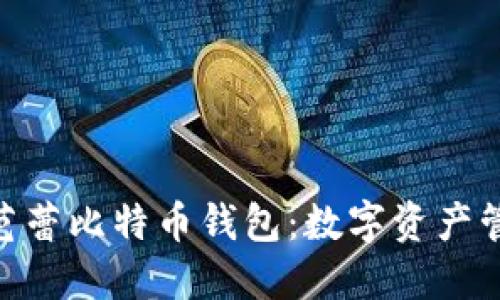 2025必看！芭蕾比特币钱包：数字资产管理的新选择