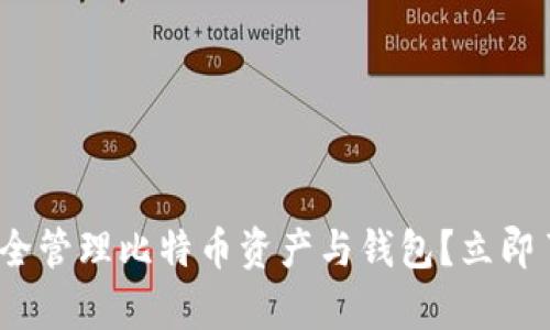 2025必看：如何安全管理比特币资产与钱包？立即了解最有效的方法！