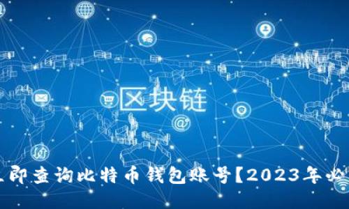 如何立即查询比特币钱包账号？2023年必看指南