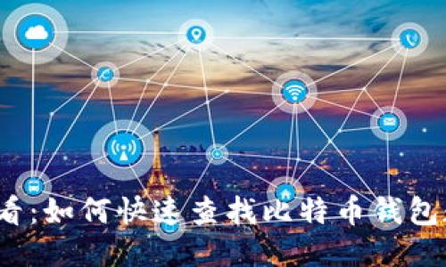 2023年必看：如何快速查找比特币钱包数量与动向