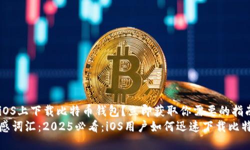 如何在iOS上下载比特币钱包？立即获取你需要的指南！
时间敏感词汇：2025必看：iOS用户如何迅速下载比特币钱包