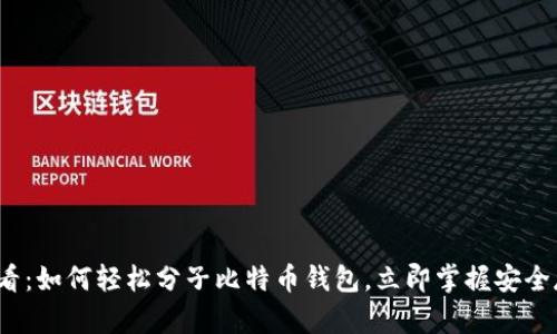 2025必看：如何轻松分子比特币钱包，立即掌握安全存储技巧