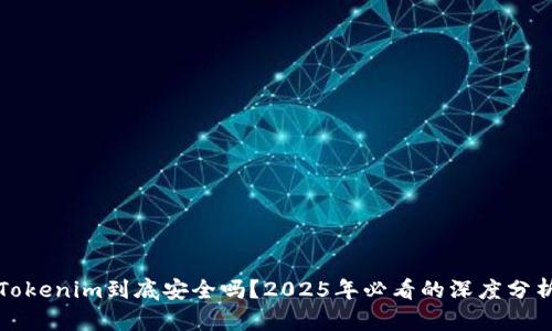 Tokenim到底安全吗？2025年必看的深度分析