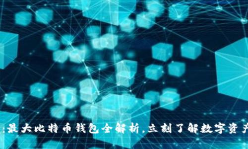 2025必看：最大比特币钱包全解析，立刻了解数字资产安全之道