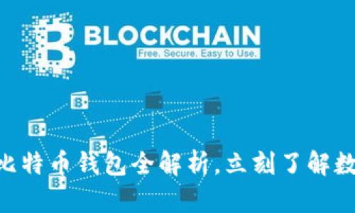 2025必看：最大比特币钱包全解析，立刻了解数字资产安全之道