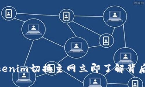 2025必看：Tokenim切换主网立即了解背后的机会与挑战
