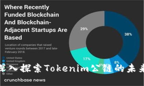 2025必看！深入探索Tokenim公链的未来潜力与应用