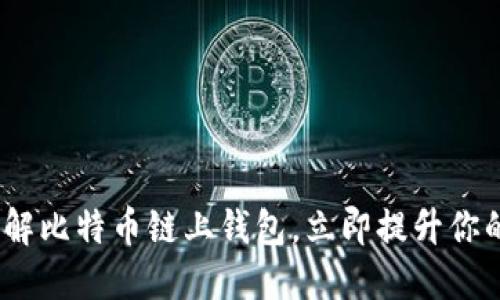 2025必看：深入了解比特币链上钱包，立即提升你的加密资产安全性！