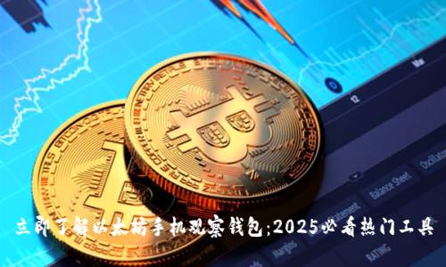 立即了解以太坊手机观察钱包：2025必看热门工具