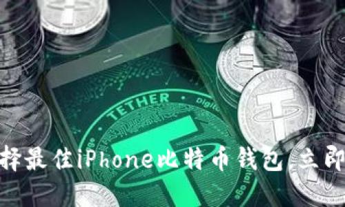 2025必看：如何选择最佳iPhone比特币钱包，立即保护你的数字资产