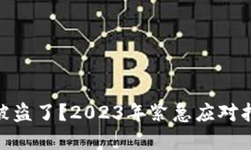 钱包里的USDT币被盗了？2023年紧急应对指南让你现在行动！