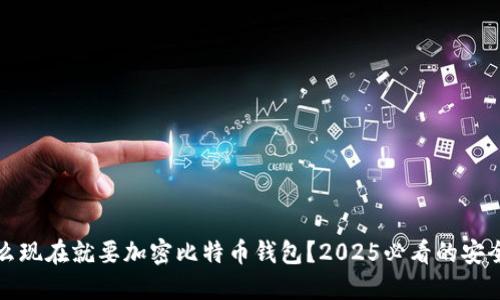 为什么现在就要加密比特币钱包？2025必看的安全策略